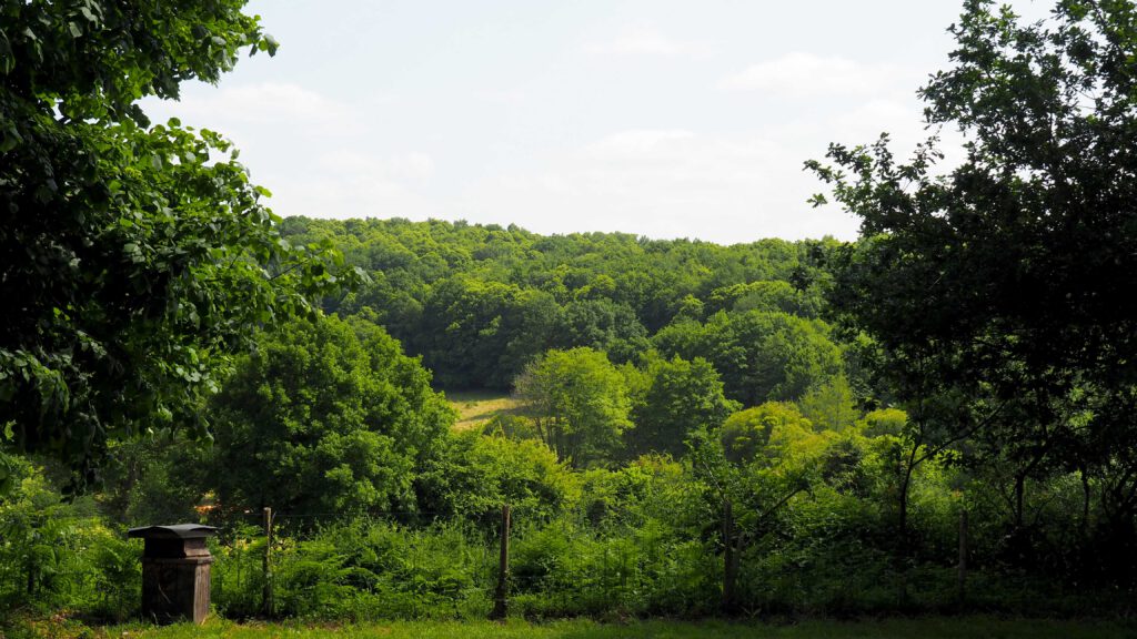 P1010319 1 1 1024x576